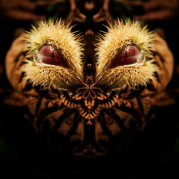 Mirror bird _10