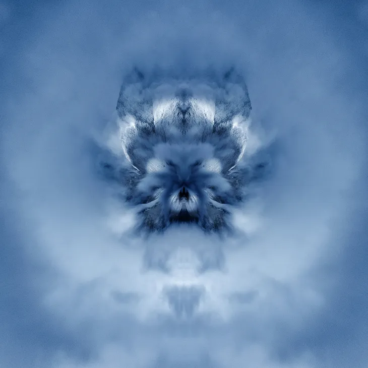 Mirror tiger _18