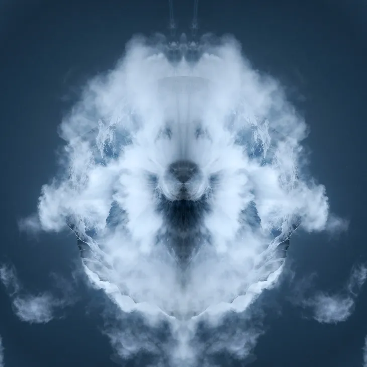 Mirror goat _20