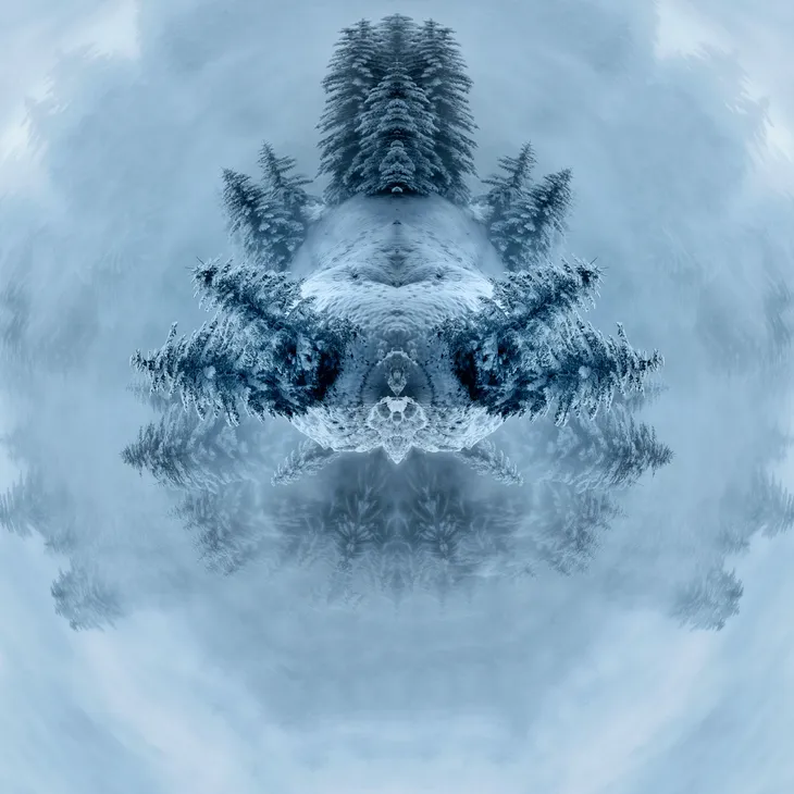 Mirror fish _23