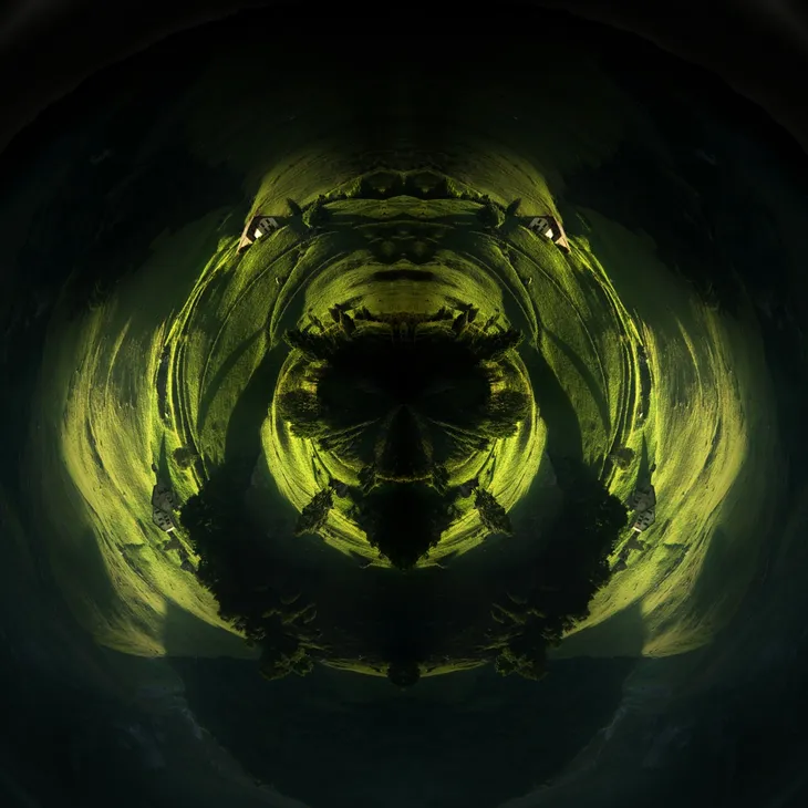 Mirror elephant _3