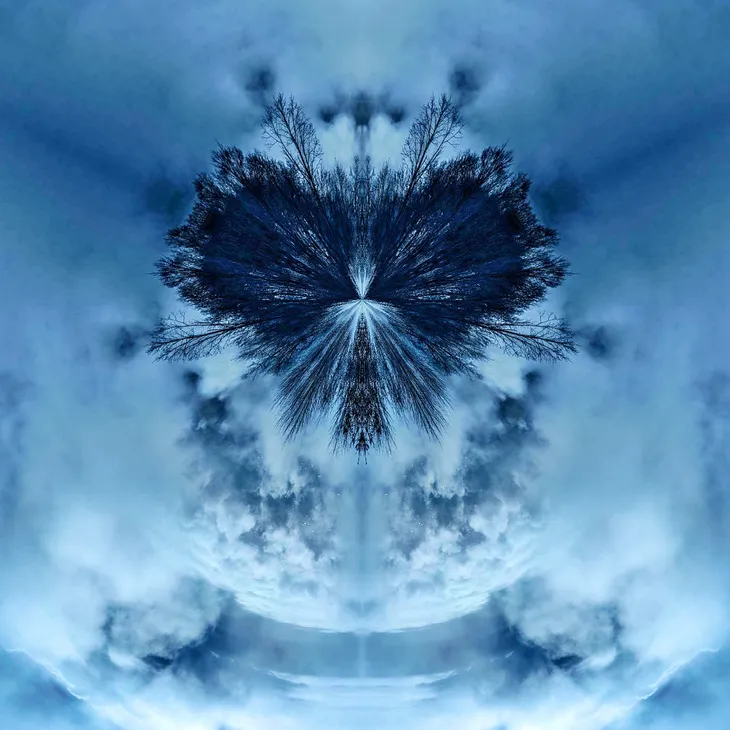 Mirror owl _33