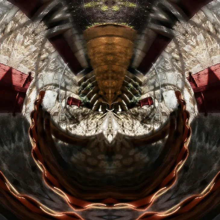 Mirror owl _7