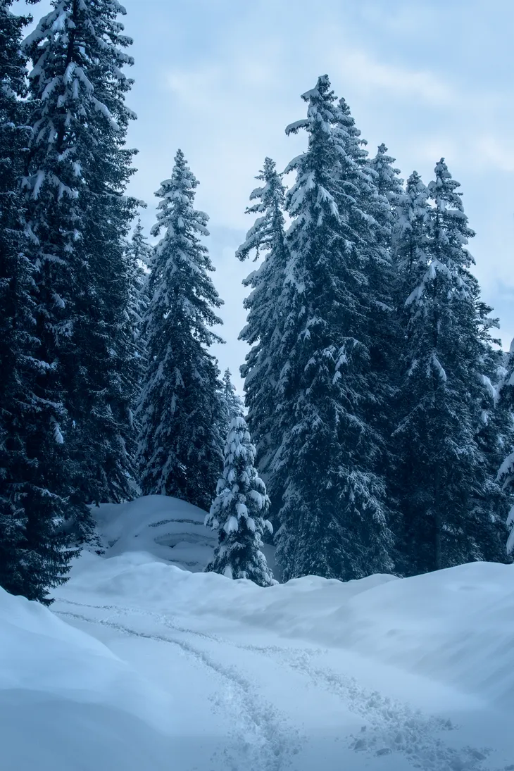 Chemin d’hiver