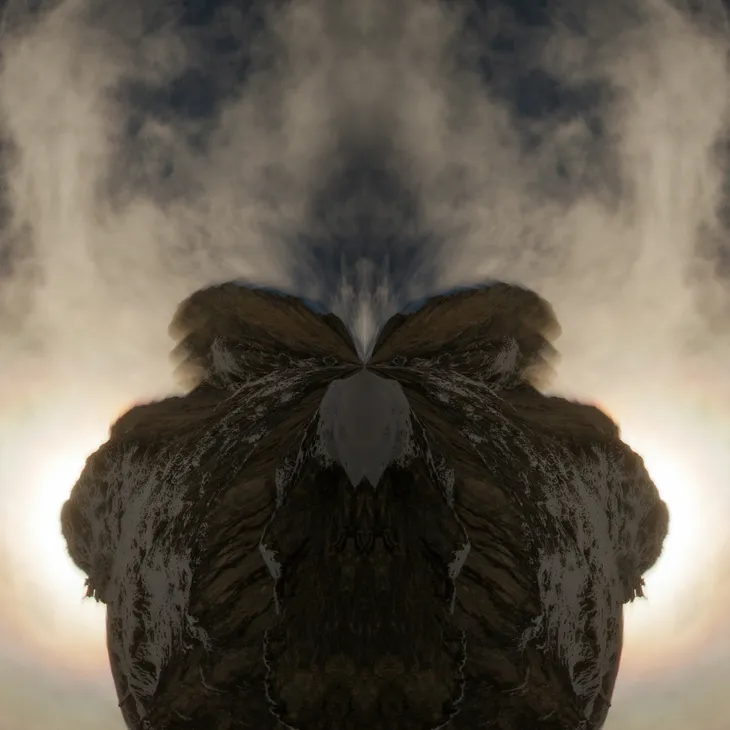 Mirror bot _8