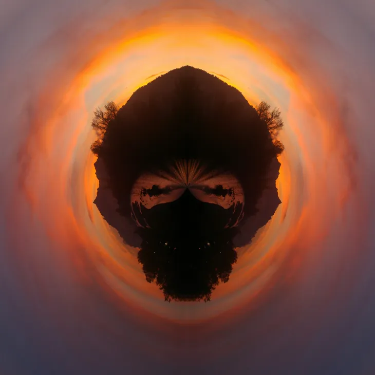 Mirror bot _1
