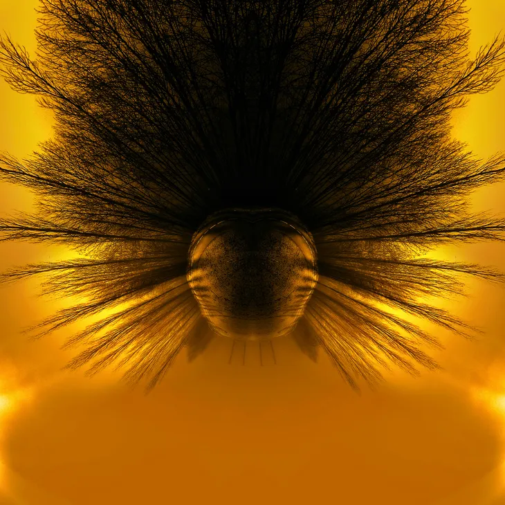 Mirror bot _15