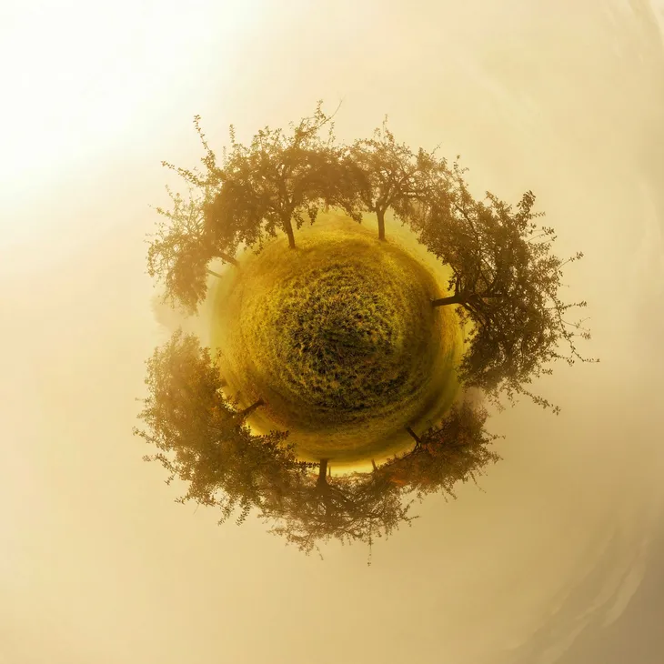 Inception _17